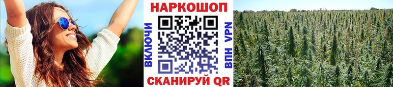 Где купить Северская Псилоцибиновые грибы  Альфа ПВП  Амфетамин  Меф мяу мяу  Гашиш  Канабис 