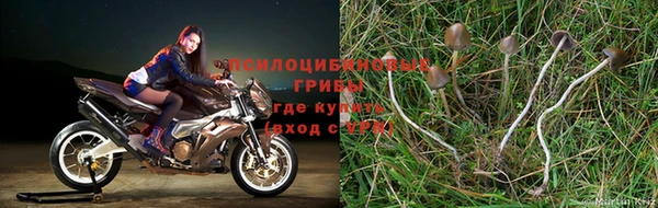 каннабис Вязьма