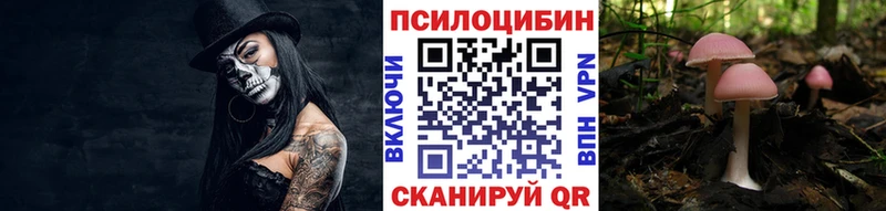 Галлюциногенные грибы Cubensis  Северская 